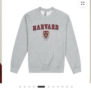 Harvard Gray Sweater - Small size